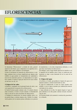 CICER
EFLORESCENCIAS
18
Viento
Tierra húmeda con sales
Contrapiso
Eflorescencias
Mortero con
sales y
humedad
Se denominan "Ef
