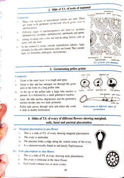 Comments: 
11 
IV 
iv. 
I11. 
iii. 
Comments: 
2. Slide of TS. of testis of mammal 
Many oval sections of seminiferous tubule