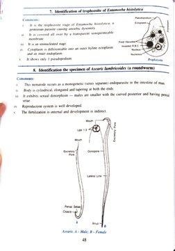 3 
V 
i. 
ii. 
ív. 
Comments: 
i. 
iv. 
I is the trophozoite stage of Entamoeba histolytica, a 
protozoan parasite causing am