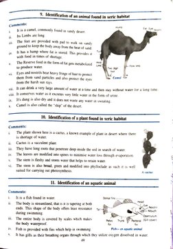 Comments: 
ii. 
iv. 
V. 
Vi. 
vii. 
ix. 
X. 
i. 
ií. 
ii. 
iv. 
V. 
vi. 
Comments: 
i. 
ii. 
wiii It conserves water as it ex