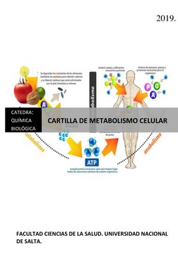 2019.
FACULTAD CIENCIAS DE LA SALUD. UNIVERSIDAD NACIONAL 
DE SALTA. 
CATEDRA:
QUÍMICA 
BIOLÓGICA
CARTILLA DE METABOLISMO CEL