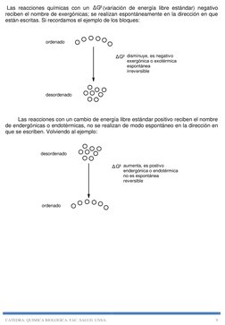 CATEDRA: QUIMICA BIOLOGICA. FAC. SALUD. UNSA. 
9 
 Las reacciones químicas con un ΔGº (variación de energía libre estánda