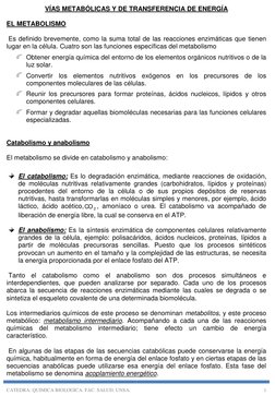 CATEDRA: QUIMICA BIOLOGICA. FAC. SALUD. UNSA. 
1 
VÍAS METABÓLICAS Y DE TRANSFERENCIA DE ENERGÍA 
 
EL METABOLISMO 
 
 Es