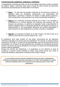 CATEDRA: QUIMICA BIOLOGICA. FAC. SALUD. UNSA. 
2 
Transformaciones catabólicas, anabólicas y anfibólicas  
La degradación