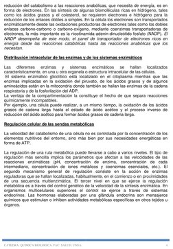 CATEDRA: QUIMICA BIOLOGICA. FAC. SALUD. UNSA. 
4 
reducción del catabolismo a las reacciones anabólicas, que necesita de