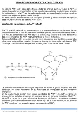 CATEDRA: QUIMICA BIOLOGICA. FAC. SALUD. UNSA. 
5 
PRINCIPIOS DE BIOENERGETICA Y CICLO DEL ATP 
 El sistema ATP - ADP actúa co