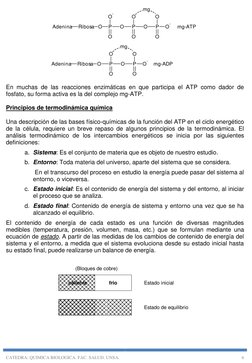 CATEDRA: QUIMICA BIOLOGICA. FAC. SALUD. UNSA. 
6 
P
O
O
-
O
O
P
O
O
O
P
O
O
O
-
Adenina
Ribosa
mg
mg-ATP
mg-ADP
mg
O
P
O