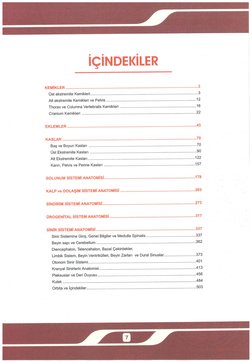 TM Tus Sorular Anatomi Sorular Compress | PDF