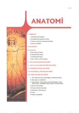 TM Tus Sorular Anatomi Sorular Compress | PDF