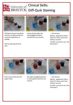 Diff-Quik Staining Protocol Guide | PDF | Staining | Nature
