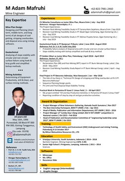 Junior Mine Engineer CV Overview | PDF | Coal Mining | Economic Geology