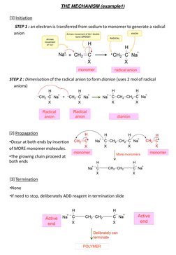 THE MECHANISM (example1)
[1] Initiation 
STEP 1 : an electron is transferred from sodium to monomer to generate a radical 
an