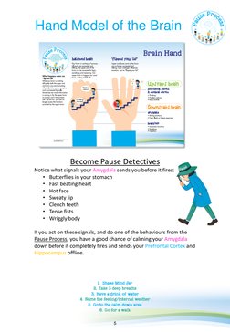 Pause Model.pdf Understanding the Pause Program | PDF | Mindfulness | Limbic System