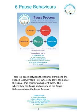 Pause Model.pdf Understanding the Pause Program | PDF | Mindfulness | Limbic System