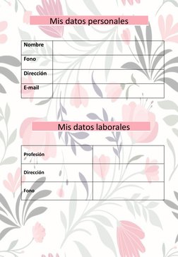 Nombre 
Fono 
Dirección 
E-mail 
Profesión 
Dirección 
Fono 
Mis datos personales
Mis datos laborales 
