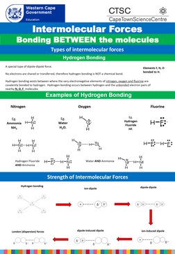 Grade 11 Chemistry Study Guide PDF | PDF | Chemical Bond | Molecules