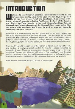 Minecraft Essential Survival Guide | PDF