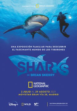 UNA EXP OSICIÓN FAMILIAR PARA DE SCUBRIR
E L  FA S C I N A N T E  MU N D O  D E  LO S  T I B U RO N E S
2 JULIO AL 29 AGOSTO