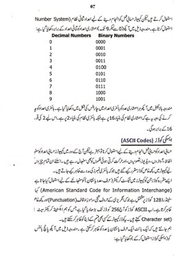 Computer Book (Urdu) | PDF