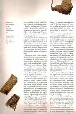 Peuacau:
250. a. C.
Palma tejida y sujeta
con hilos.
Cueva de la
Chagüera, Morelos.
INAH.
Bolsa. 250 a.C.Palma
tejida triaxia