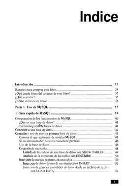 lndice 
Introduccidn ........................................................................................................