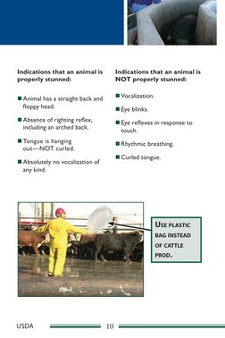 USDA
 
 
 
  
 
 
 
 
 
 
 
 
 
 
 
 
Indications that an animal is 
Indications that an animal is 
properly stunned: 
NOT pr