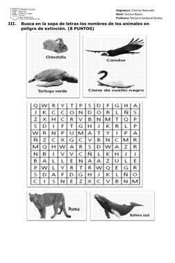 Asignatura: Ciencias Naturales                   
Nivel: Tercero Básico                               
Profesora: Marjorie