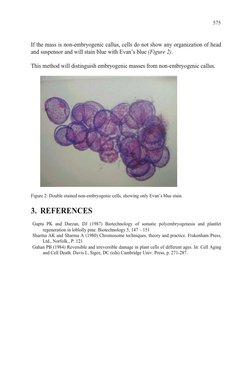 If the mass is non-embryogenic callus, cells do not show any organization of head 
and suspensor and will stain blue with Eva