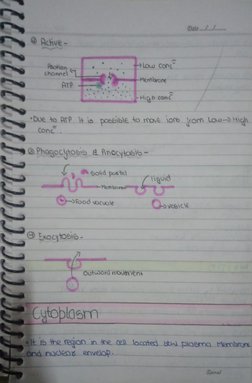 Handwritten Cell Biology Notes | PDF | Cell Biology | Anatomy