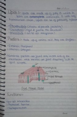 Handwritten Cell Biology Notes | PDF | Cell Biology | Anatomy