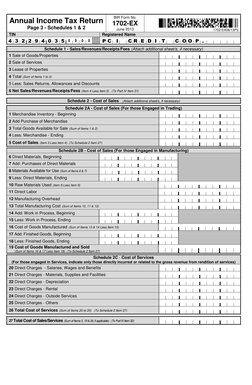 Annual Income Tax Return 1702-EX Form | PDF | Cost Of Goods Sold | Tax ...