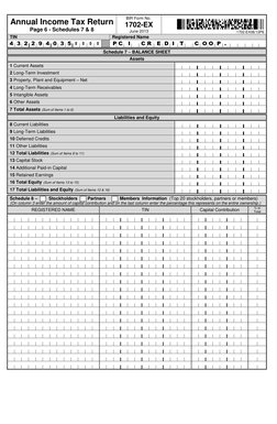 Annual Income Tax Return 1702-EX Form | PDF | Cost Of Goods Sold | Tax ...