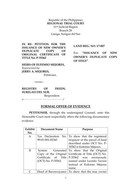 1 
 
Republic of the Philippines 
REGIONAL TRIAL COURT 
11th Judicial Region 
Branch 28 
Lianga, Surigao del Sur 
 
 
IN RE: