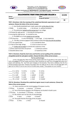 Grade 6 English Diagnostic Test | PDF | Linguistics | Linguistic Typology