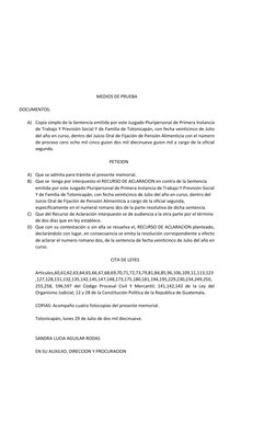 MEDIOS DE PRUEBA 
 
DOCUMENTOS:  
 
A) Copia simple de la Sentencia emitida por este Juzgado Pluripersonal de Primera Instanc