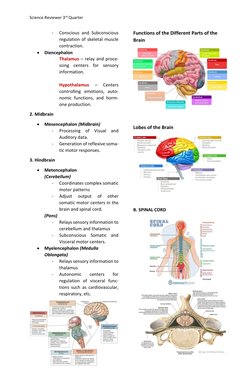 Science Reviewer 3rd Quarter
-
Conscious and Subconscious
regulation of skeletal muscle
contraction.
Diencephalon
T