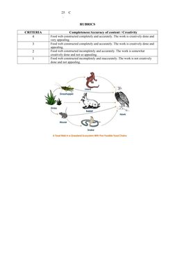 25
.
C
RUBRICS 
CRITERIA
Completeness/Accuracy of content / Creativity
4
Food web constructed completely and accurately. The