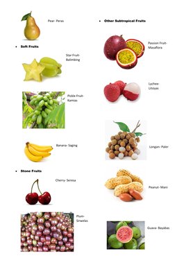 Pear In Tagalog Tagalog Names of Common Fruits | PDF | Fruit | Tropics