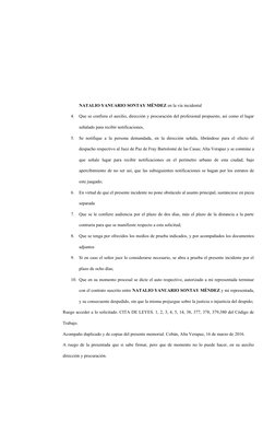 NATALIO YANUARIO SONTAY MÉNDEZ en la vía incidental 
4.
Que se confiera el auxilio, dirección y procuración del profesional p