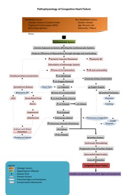 Pathophysiology of Congestive Heart Failure
                   Modifiable Factors
Non Modifiable Factors
           Lifestyle