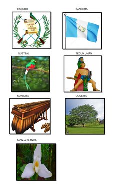 ESCUDO
BANDERA
 QUETZAL
TECUN UMÁN
MARIMBA
LA CEIBA
MONJA BLANCA
