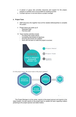 
A  person  or  group  who  provides  resources  and  support  for  the  project,
program or portfolio and is accountable fo