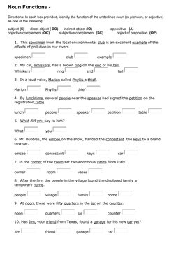 Functions of Nouns Worksheet | PDF | Language Arts & Discipline ...