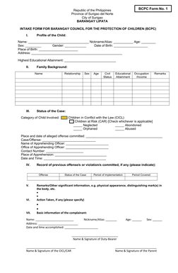 BCPC Child Intake Form Template | PDF | Childhood | Human Rights