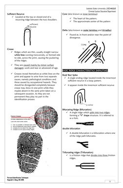 Fingerprint Ridge Characteristics Overview | PDF | Fingerprint
