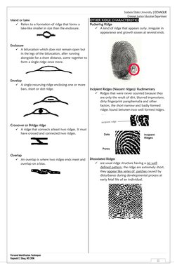 Fingerprint Ridge Characteristics Overview | PDF | Fingerprint