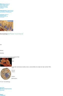 Ribosomes (small brown  
dots): complexes that  
make proteins; free in  
cytosol or bound to  
rough ER or nuclear  
envelop