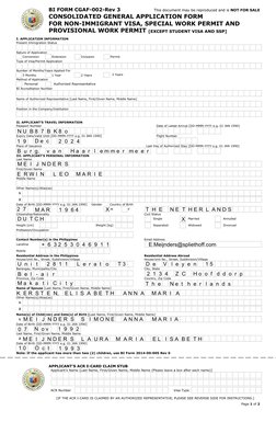 CGAF for Non-Immigrant Visa Applications | PDF | Travel Visa | Identity ...