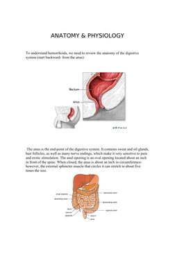 Anatomy and Physiology of Hemorrhoids | PDF | Hemorrhoid | Rectum