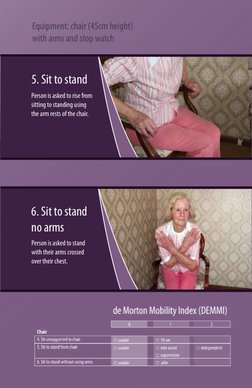 Demmi Protocol.pdf DEMMI Handbook | PDF | Foot | Chair
